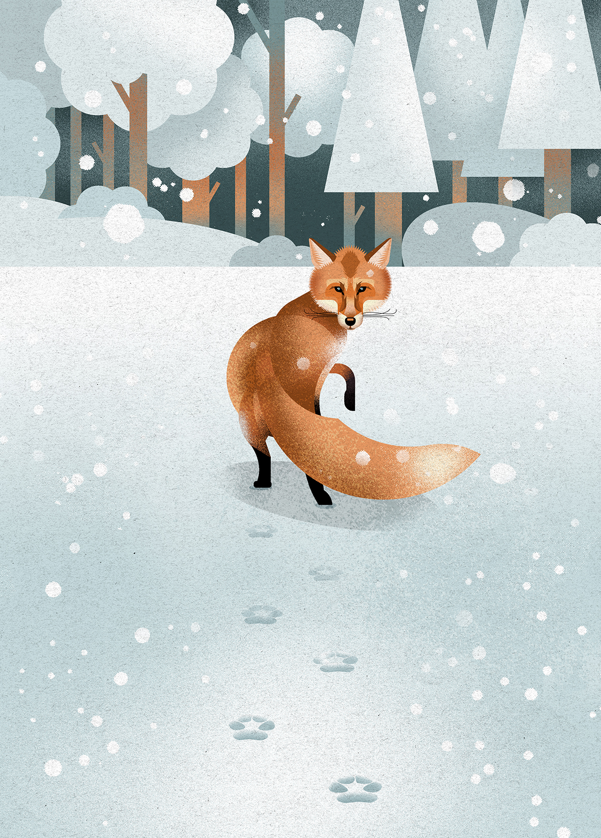 SNOW FOX